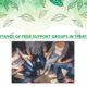 Peer Support Groups Importance in Treatment - Prcrehab.org