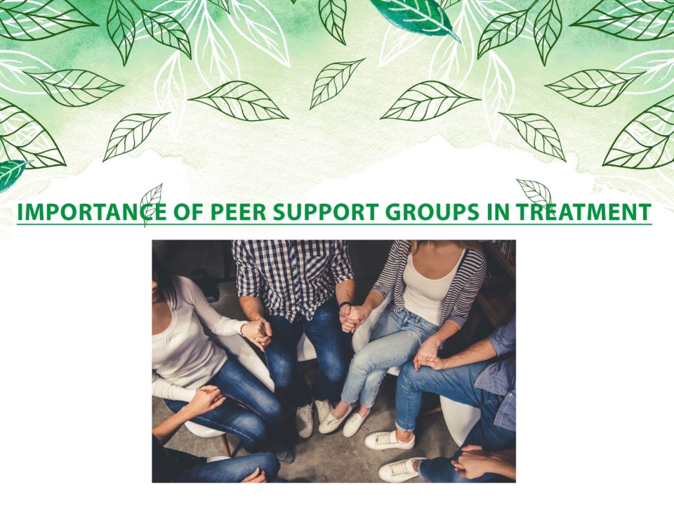 Peer Support Groups Importance in Treatment - Prcrehab.org